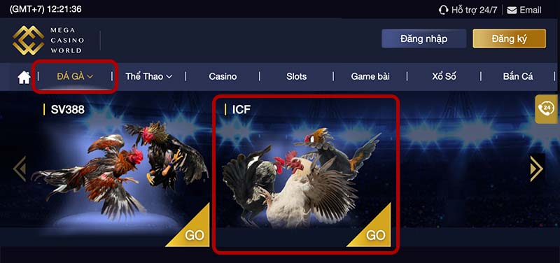 Nhà cái đá gà ICF