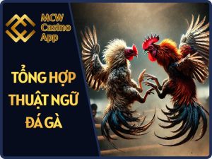 Các thuật ngữ trong đá gà